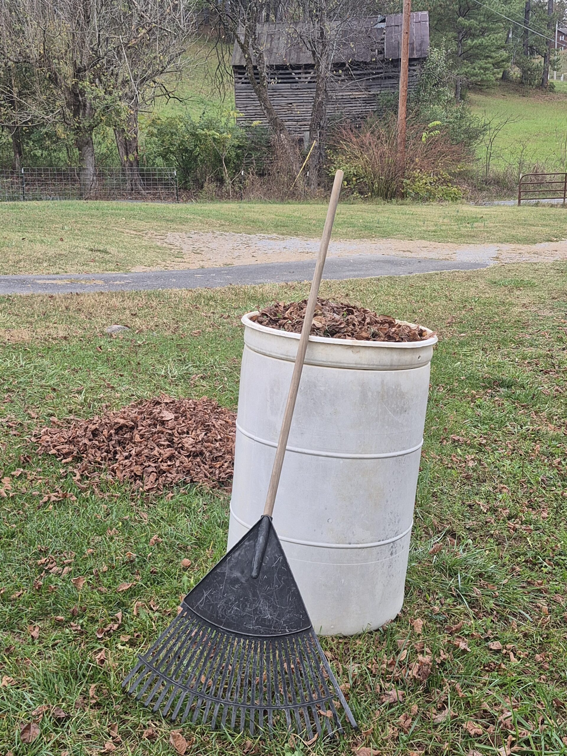 The Healing Power of Raking Leaves: Cultivating Well-Being and Growth